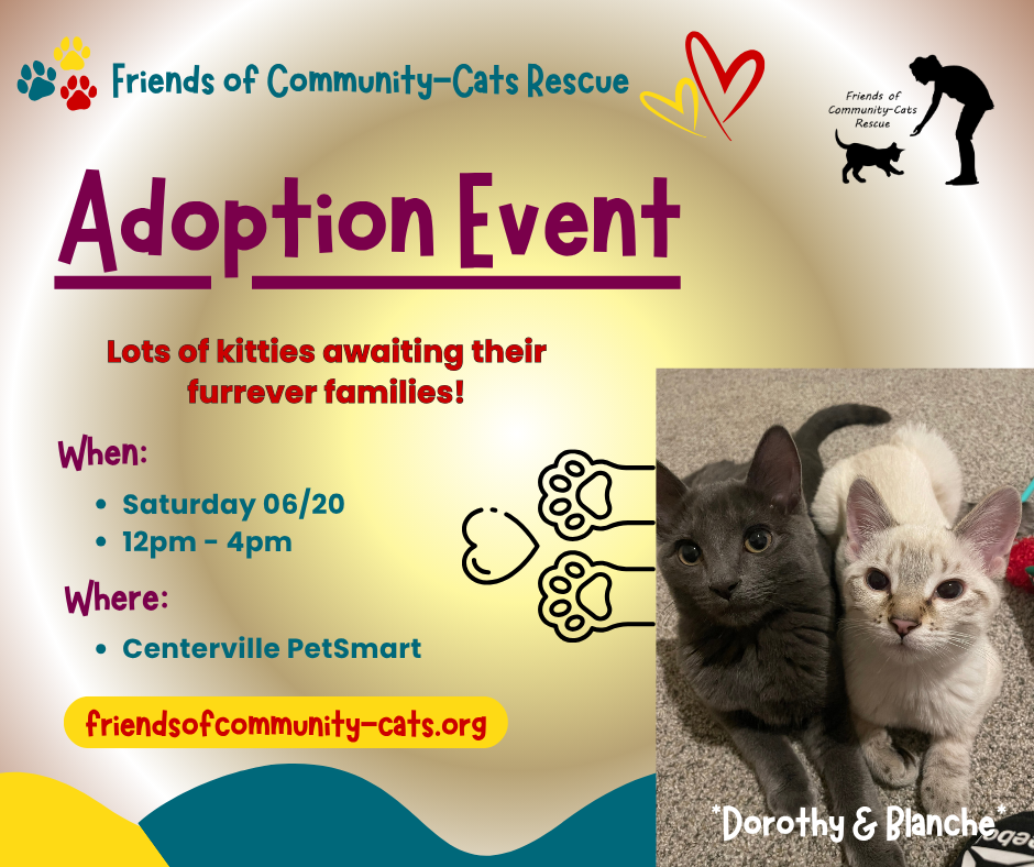 Adoption Event